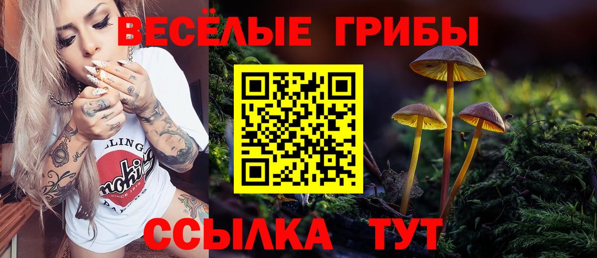 Псилоцибиновые грибы MAGIC MUSHROOMS  Псилоцибиновые грибы Psilocybine cubensis  Орехово-Зуево  Вход с VPN 